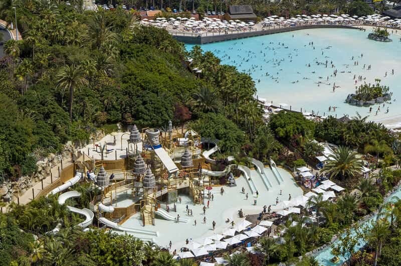 Сёрф и Loro Parque - фото программы