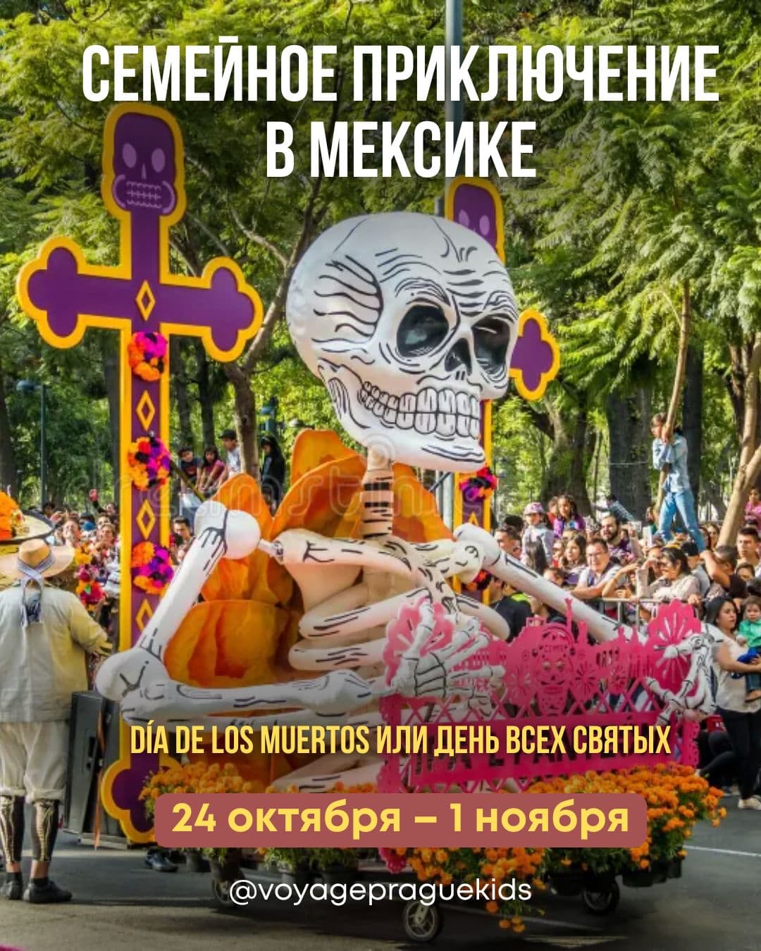 Мини-регата